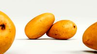 Mango 001