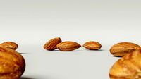 Almond 004