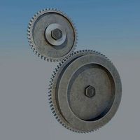 Spur gear