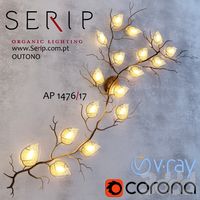 SERIP Art. AP 1476/17