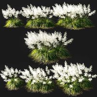 grass