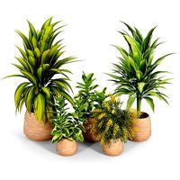 Tula Planter Collection