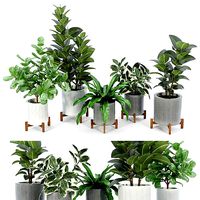 Bungalow Planter Collection