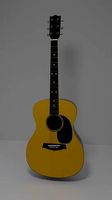 Acoustic 6 string guitar