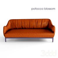 potocco blossom дизайн