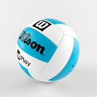 Volleyball Ball