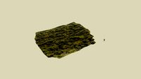 3D wald