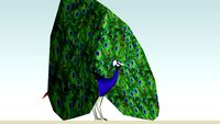 Common Peafowl (adult male) textured