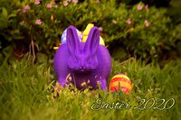 Maceta conejo de pascua | 3D
