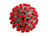 corona virus | 3D