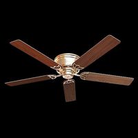 Hunter ceiling fan
