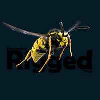 Photorealistic Wasp 3D Model - Vespula Germanica