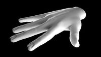 Hand 3D Model