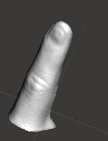 3D scanned right index finger | 3D