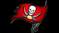 Tampa Bay Buccaneers logo | 3D