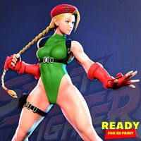 Cammy - Street Fighter Fanart | 3D