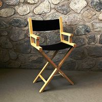 Director chair