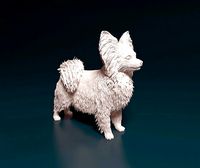 Papillon dog | 3D