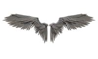 angel wings