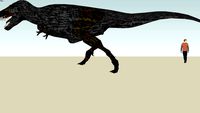 Tyrannosaurus Rex