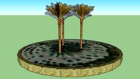 City of Yuma Date Palm Trees