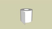 paper of the anus