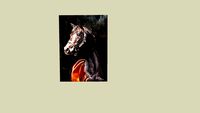 cheval