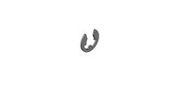 10610134 Retaining washers for shafts DIN 6799 8