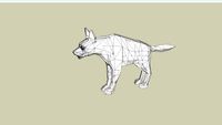 Striped Hyena (adult)