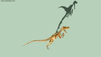 Velociraptor Mongoliensis