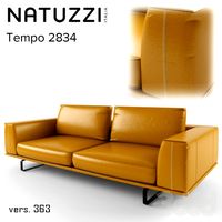 Natuzzi Tempo 2834 sofa
