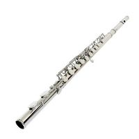 Concert flute 28 AM67