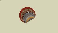 2D Seashell