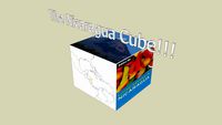 The Nicaragua Cube