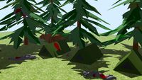 Grizzly Bear Attack
