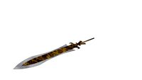 sword