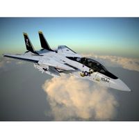 F-14A Tomcat VF-84 Jolly Rogers 1977 - 3D Model