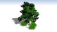 2.5d trees from Sets A & B