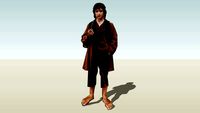 2D Frodo