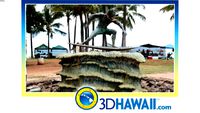Waikiki Beach
