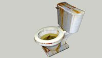 Dirty Toilet