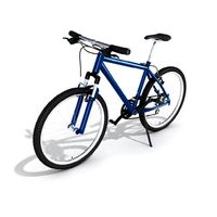 Bicycle 01 am55
