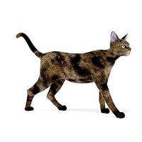Cat 47 am83