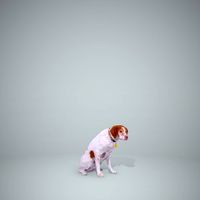 Pointer Dog | Dog0004-HD2-P01-S Ready-Posed 3D Human Model (Dog / Still)