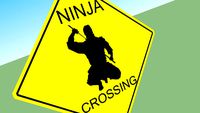 Danger : Twinkle-Twinkle Ninja Star
