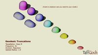 Geodesic Truncations • Class II, 8v