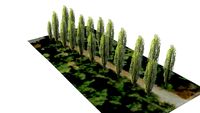 Weimar Ilm Park 1.8