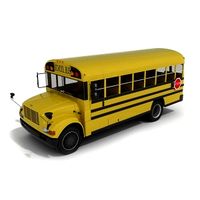 School Bus 11 am55