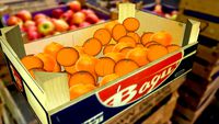 Box/Crate of Oranges