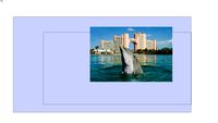 dolphin @ Atlantas bahamas Nassu